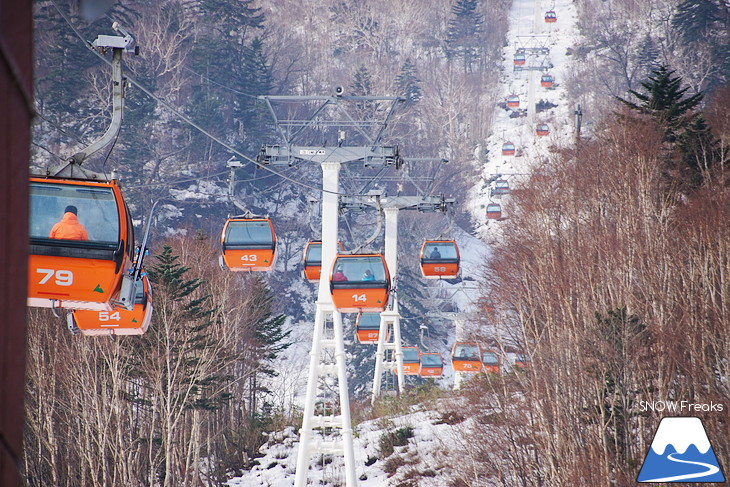 札幌国際スキー場 初滑り 華やかなシーズン到来！